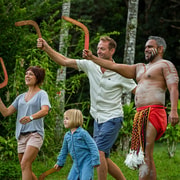 Day Trip: Rainforest & Aboriginal Culture Tour