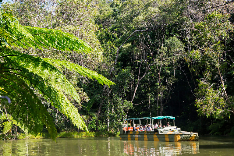 Day Trip: Rainforest & Culture Visite autochtoneVisite de la forêt tropicale et de la culture aborigène avec déjeuner barbecue