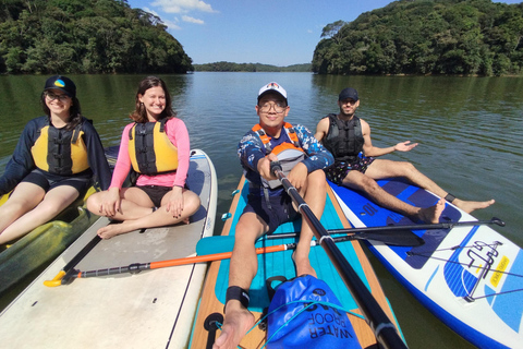 Paddleboarding und BBQ-Erlebnis am Billings Stausee