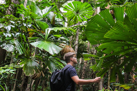 Wildernis van Daintree en Cape Tribulation: dagvullende tourDaintree & ophaalservice bij Port Douglas