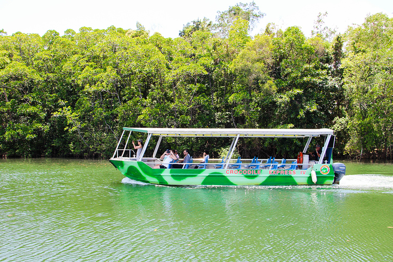 Wildernis van Daintree en Cape Tribulation: dagvullende tourDaintree & ophaalservice bij Port Douglas