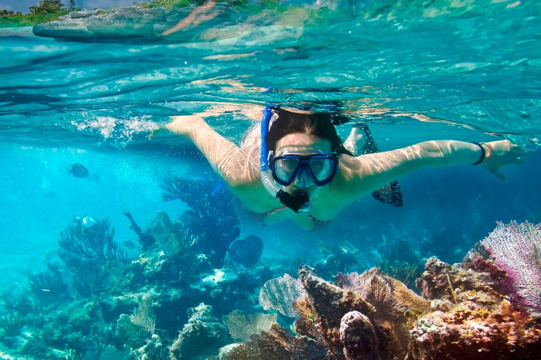 Cancún: Catamarán Isla Cozumel, El Cielo, Cielito barra libreViaje de ida y vuelta desdePuerto Morelos, Tulum