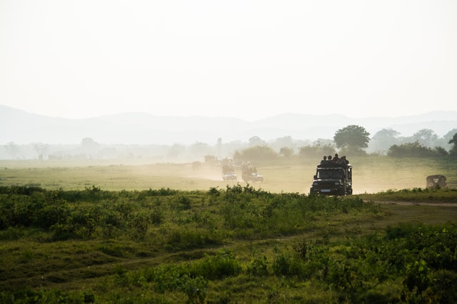 Van Ella: shuttle naar Mirissa/Galle met Udawalawe Safari