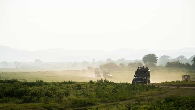 from ella shuttle to mirissa/galle with udawalawe safari