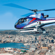 Wellington Helicopters Scenic Harbour Flight
