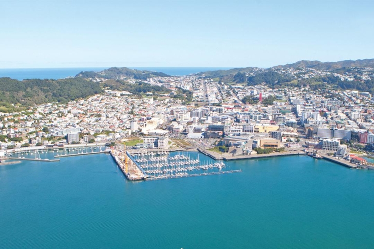 Wellington: Vuelo panorámico en helicóptero para descubrir la Costa Sur