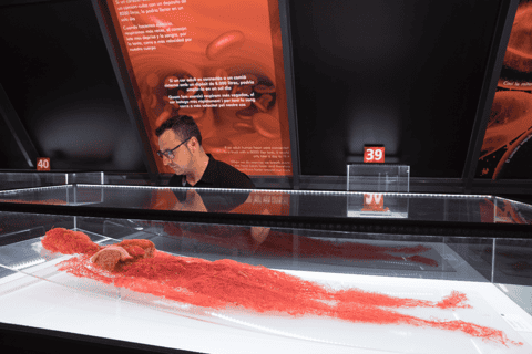 Barcelona: Exposición de cuerpos humanos con audioguía