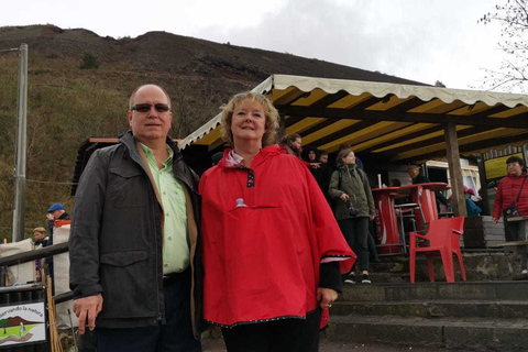 Da Roma: Rovine di Pompei e Vesuvio con pranzo e vino