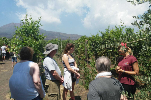 Von Rom aus: Ruinen von Pompeji und Vesuv mit Mittagessen und Wein