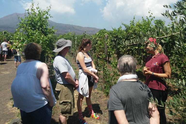 Vanuit Rome: ruïnes van Pompeii en de Vesuvius met lunch en wijn