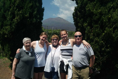 Vanuit Rome: ruïnes van Pompeii en de Vesuvius met lunch en wijn