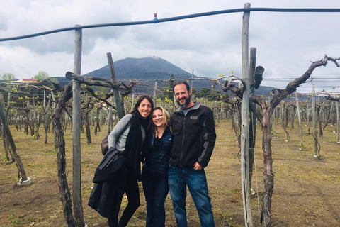 Au départ de Rome : Ruines de Pompéi et Mont Vésuve avec déjeuner et vin