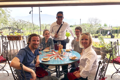 Da Roma: Rovine di Pompei e Vesuvio con pranzo e vino