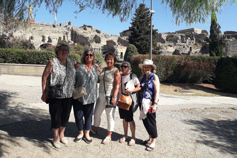 Vanuit Rome: ruïnes van Pompeii en de Vesuvius met lunch en wijn