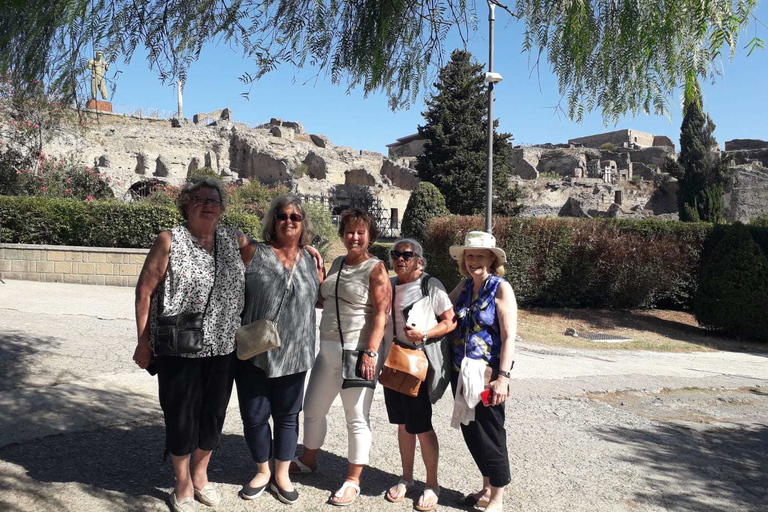 Da Roma: Rovine di Pompei e Vesuvio con pranzo e vino