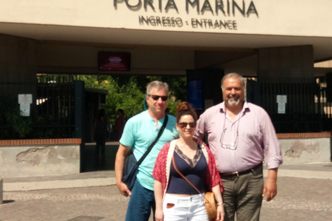 Da Roma: Rovine di Pompei e Vesuvio con pranzo e vino