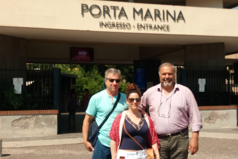 Vanuit Rome: ruïnes van Pompeii en de Vesuvius met lunch en wijn