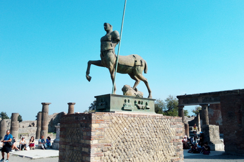 Vanuit Rome: ruïnes van Pompeii en de Vesuvius met lunch en wijn