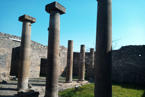 Da Roma: Rovine di Pompei e Vesuvio con pranzo e vino