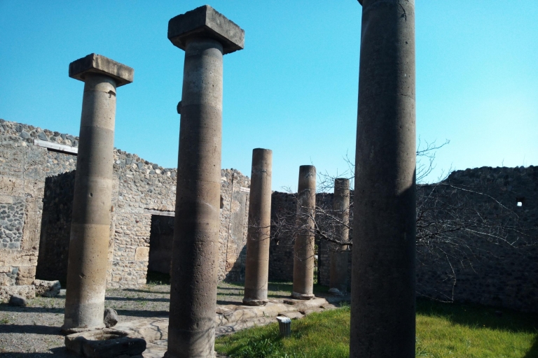 Desde Roma: Ruinas de Pompeya y Monte Vesubio con Comida y Vino