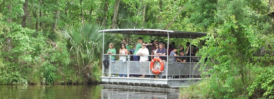 Новый Орлеан: тур по заливу в национальном парке Жана Лафита