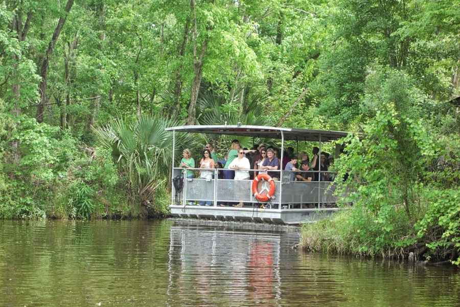 New Orleans: Bayou-Tour im Jean Lafitte Nationalpark. Foto: GetYourGuide
