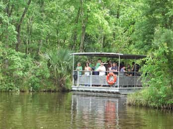 New Orleans: Bayou-Tour in Nationalpark New Orleans: Bayou-Tour in Nationalpark