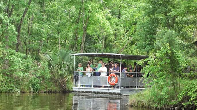 new orleans bayou tour in national park