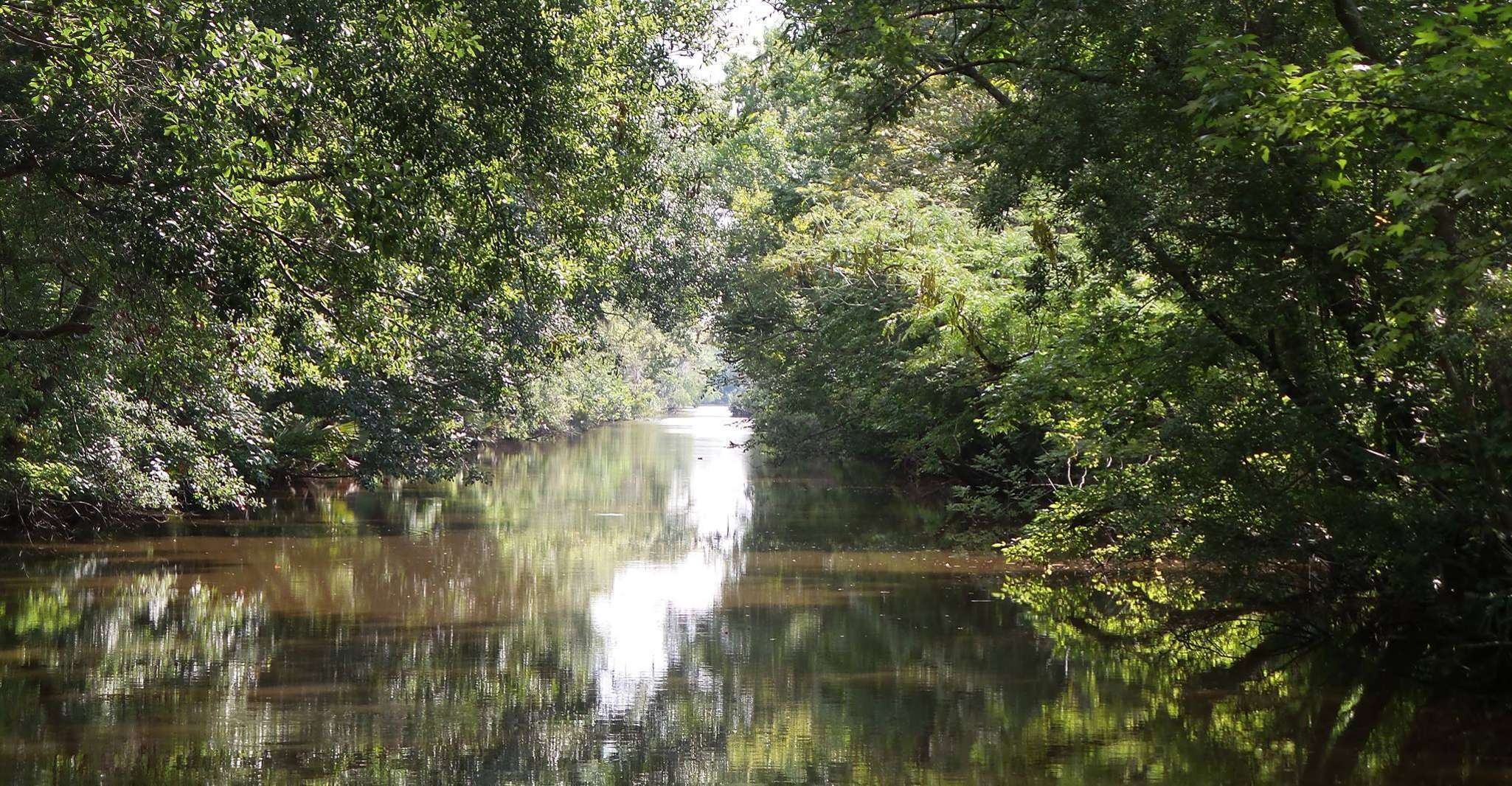 Escape to the Bayou: Your Louisiana Adventure Awaits at Jean Lafitte RV Park