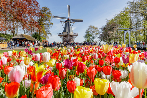 Antwerp: Full-day Holland Guided Keukenhof & Kinderdijk Tour Tour in Spanish