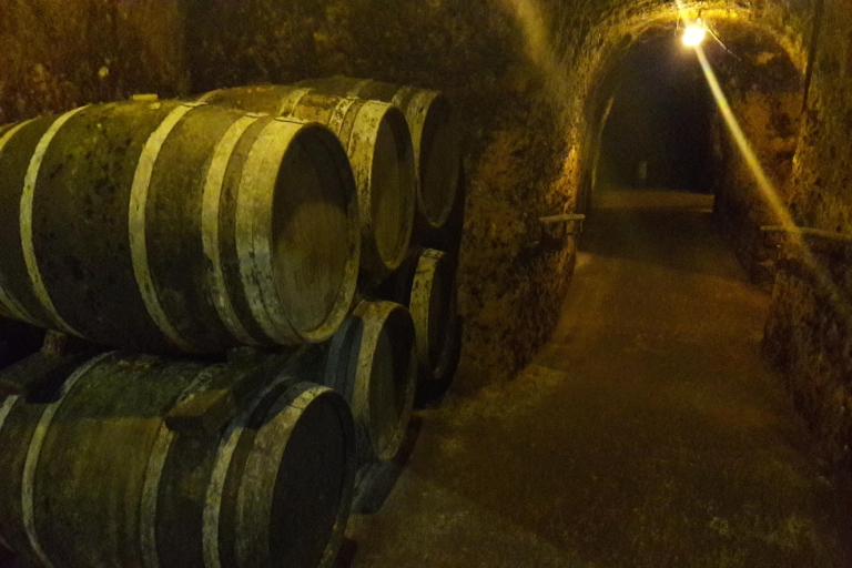 Rioja: visite privée de dégustation de vinsVisite privée des vins de la Rioja : meilleure visite de dégustation de vins