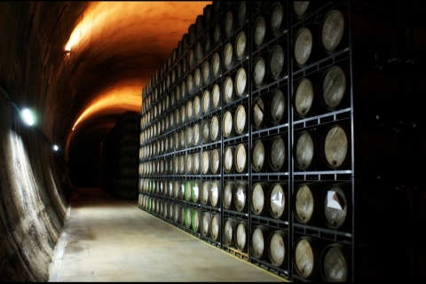 Rioja: Prywatna degustacja winaPrywatna wycieczka po winie Rioja: najlepsza wycieczka z degustacją wina