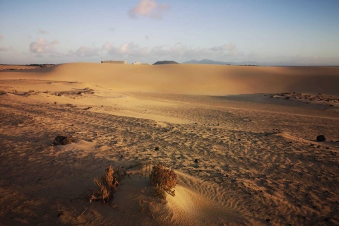Fuerteventura : dunes de sable pour croisiériste à CorralejoOption standard
