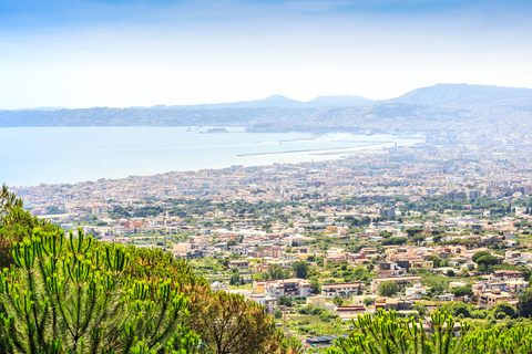 Excursion d'une journée à Pompéi, Herculanum et le Vésuve depuis Naples