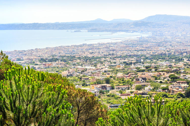 Excursion d'une journée à Pompéi, Herculanum et le Vésuve depuis Naples