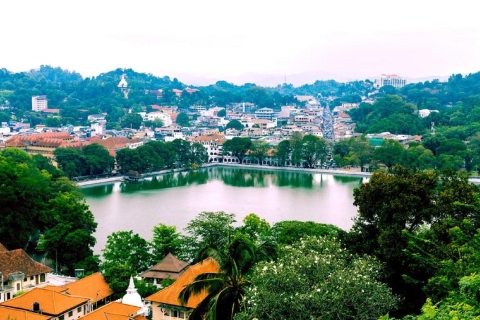 Von Bentota: Kandy-Tour mit Besuch des Zahntempels und der Gärten