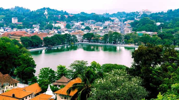 from bentota kandy tour with tooth temple gardens visit