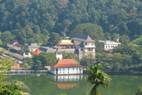 From Bentota: Kandy Tour with Tooth Temple & Gardens Visit