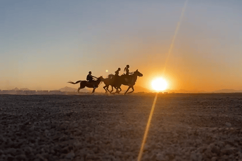 Makadi Bay: ATV, Horse, and Camel Ride Tour