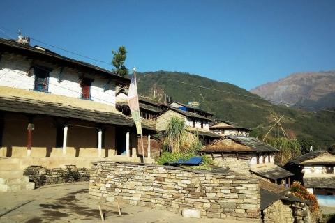 Pokhara : randonnée en piscine privée avec hébergement et repas