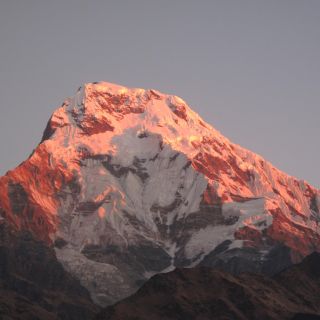Kathmandu: 12-Day Annapurna Base Camp Trek