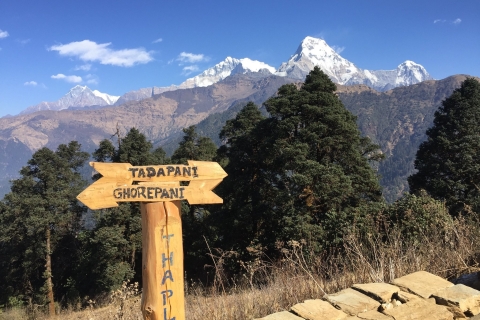 Pokhara: Private Pool Hill Trek mit Unterkunft und Verpflegung