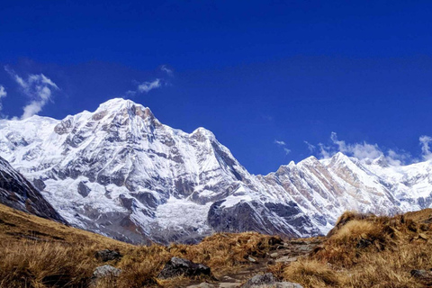 Desde Katmandú: caminata de 5 días a Ghorepani Poon HillTour grupal con punto de encuentro