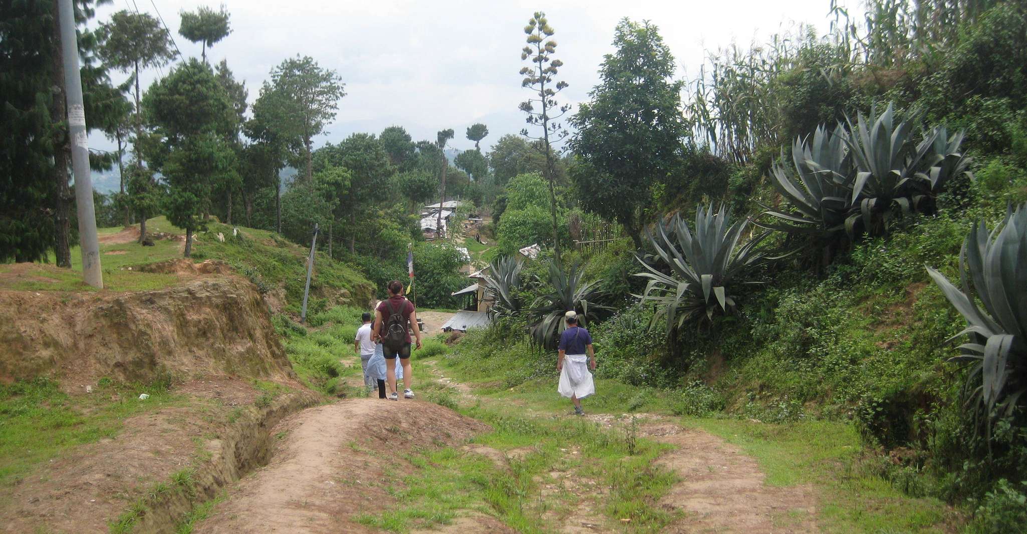 Katmandú, 2 noches 3 días Chisapani Nagarkot Trek Katmandú - Hizvo