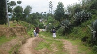 Katmandú, 2 noches 3 días Chisapani Nagarkot Trek Katmandú - Hizvo