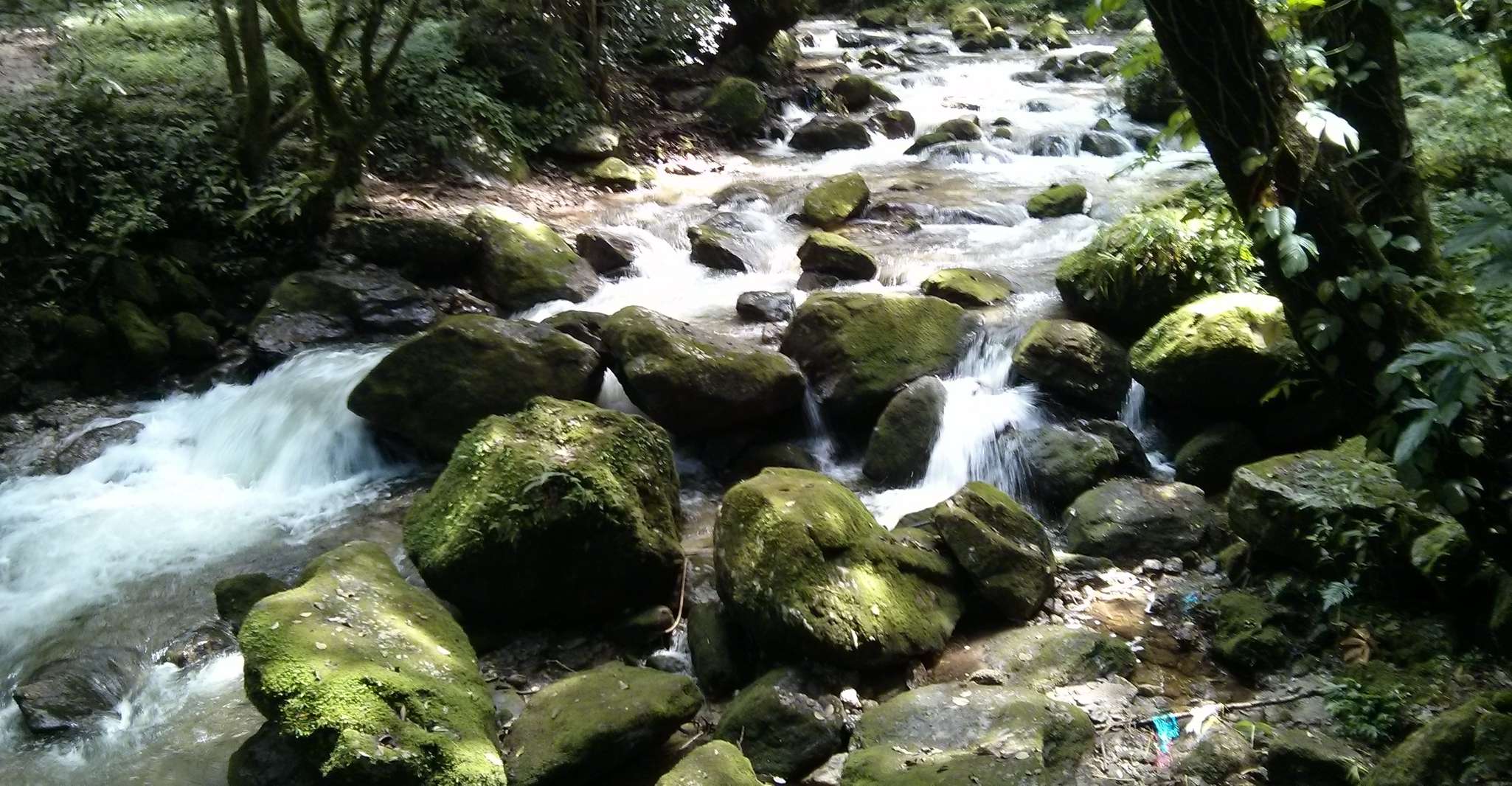 Katmandú, 2 noches 3 días Chisapani Nagarkot Trek Katmandú - Hizvo