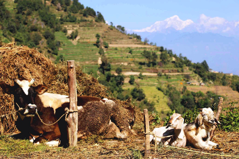 Katmandu: 3-dniowy Trek Nagarkot