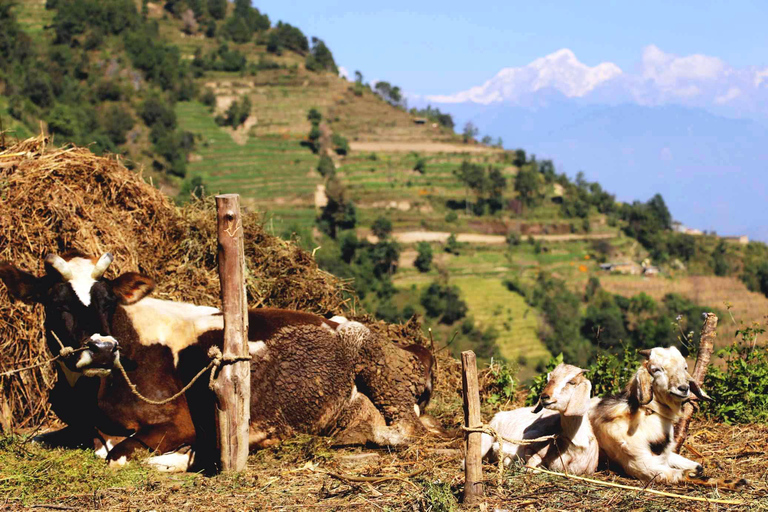 Kathmandu: 3-tägiger Nagarkot-Trek