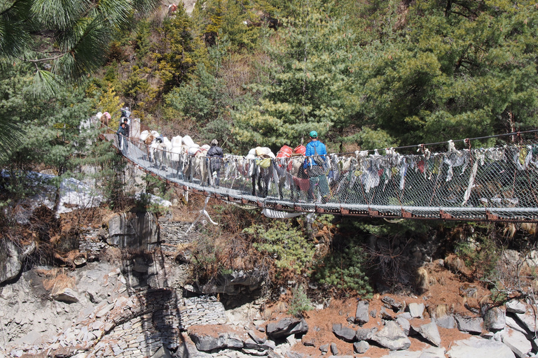 Katmandou: Trek Circuit Annapurna de 14 jours