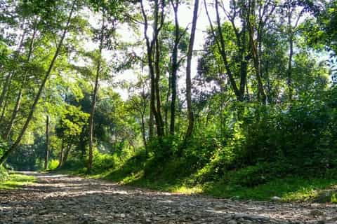 kathmandu 3day trek through shivapuri national park